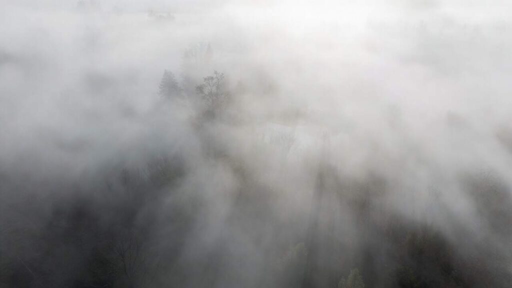 उत्तर भारत में घना कोहरा और शीतलहर का कहर: