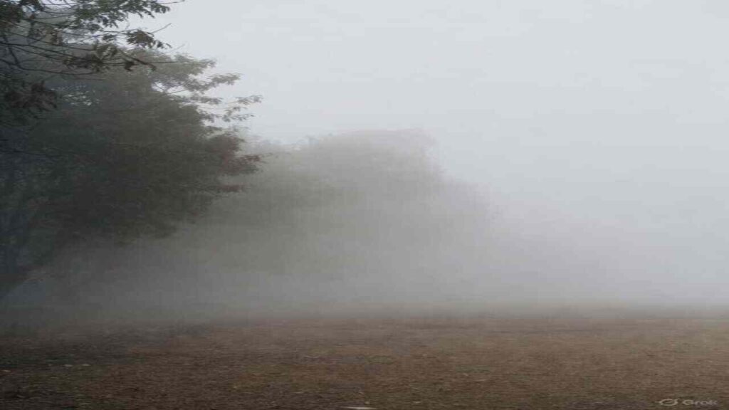 उत्तर भारत में घना कोहरा और शीतलहर का कहर