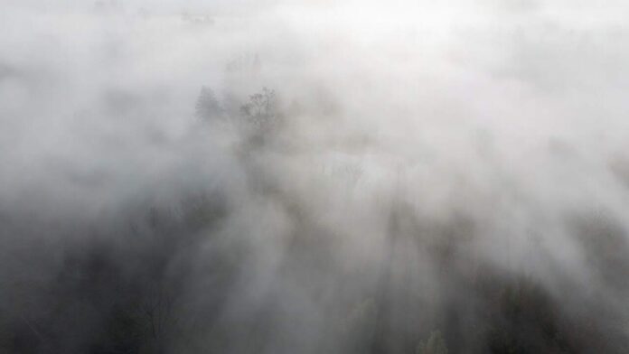 उत्तर भारत में घना कोहरा और शीतलहर का कहर: